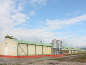 Baia Mare - Romavis - poultry farm – polyurethane panels