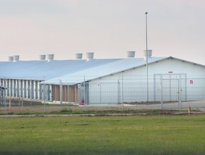 Satu Mare – Artema – poultry farm – polyurethane panels