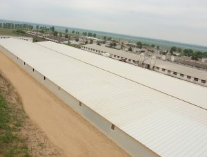 Tulcea – Carniprod – pig farm – polyurethane panels